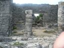 cruse2006199.jpg