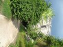 cruse2006208.jpg