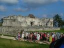cruse2006216.jpg