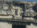 cruse2006220.jpg