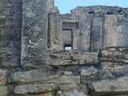 cruse2006235.jpg
