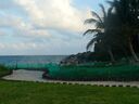 cruse2006249.jpg