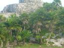 cruse2006262.jpg