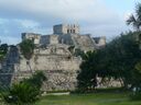 cruse2006275.jpg
