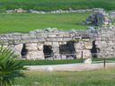 cruse2006280.jpg