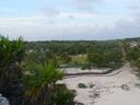 cruse2006304.jpg