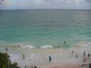cruse2006315.jpg