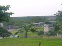 cruse2006317.jpg