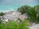cruse2006322.jpg