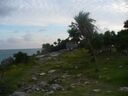cruse2006327.jpg