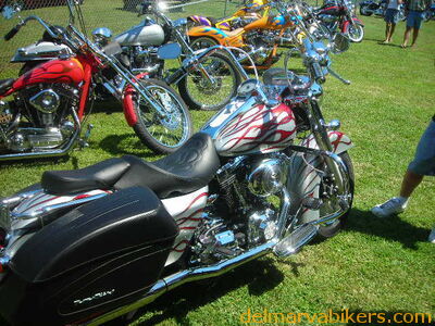 em06069.JPG