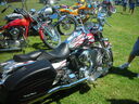 em06069.JPG