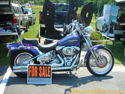 vf06033.JPG