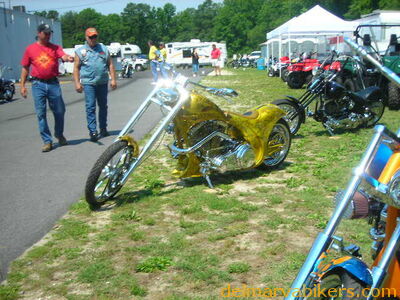 vf06044.JPG