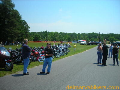 vf06062.JPG