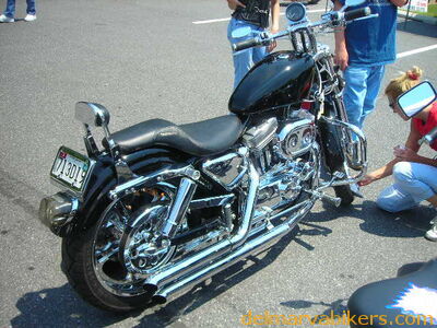 vf06074.JPG
