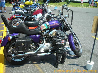 vf06076.JPG