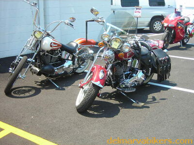 vf06087.JPG