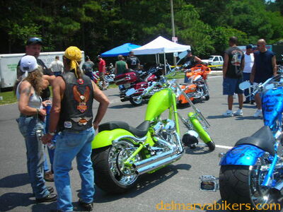 vf06097.JPG