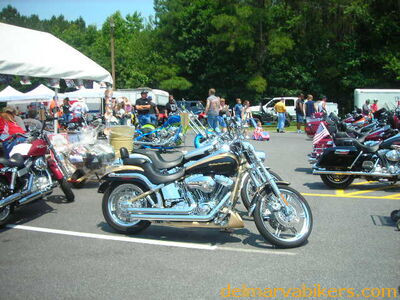 vf06100.JPG