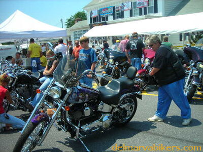 vf06102.JPG
