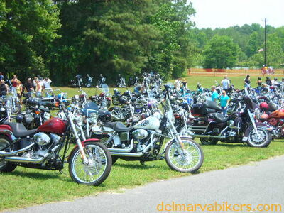 vf06114.JPG