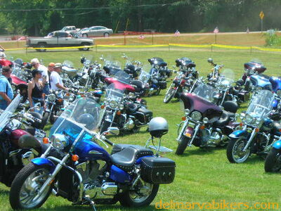 vf06116.JPG