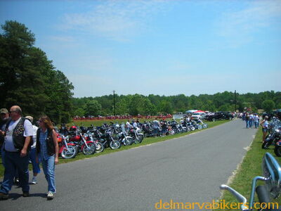 vf06121.JPG