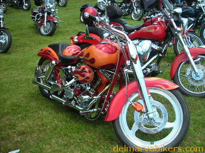 vf06126.JPG