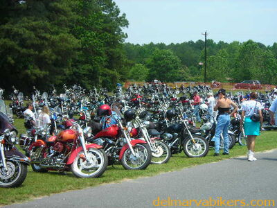 vf06130.JPG