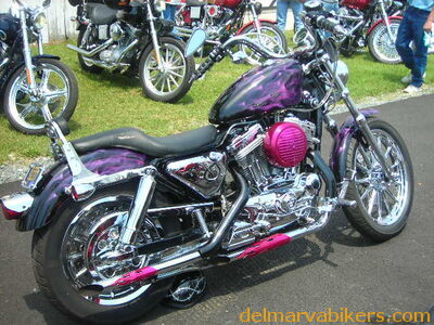 vf06148.JPG