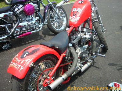 vf06149.JPG