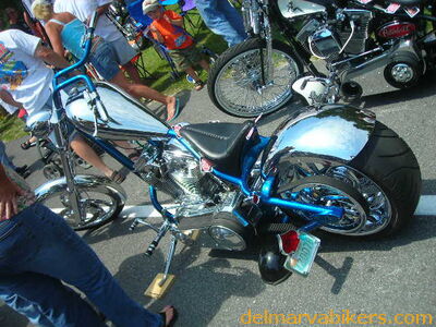 vf06154.JPG
