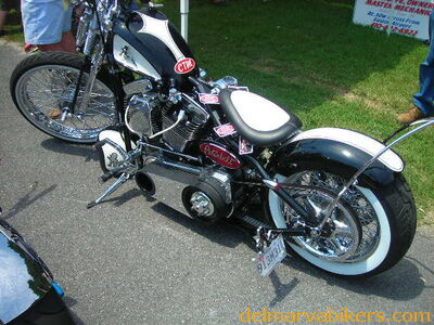 vf06155.JPG
