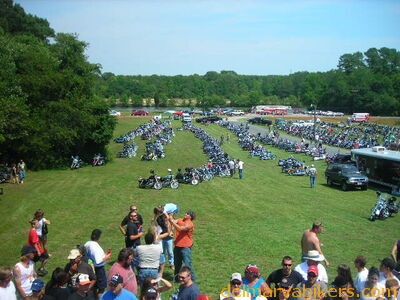 vf06190.JPG