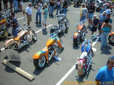 vf06195.JPG