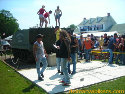 vf06204.JPG