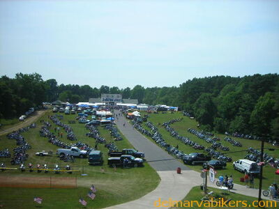 vf06210.JPG