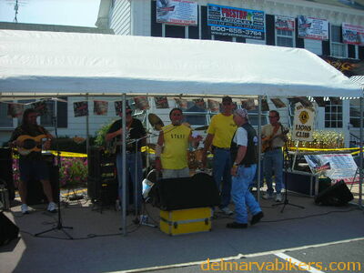 vf06225.JPG