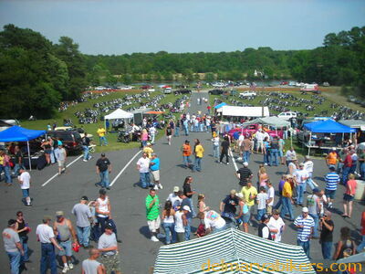 vf06233.JPG