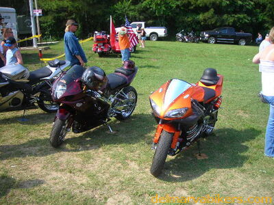 vf06248.JPG
