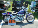vf06033.JPG