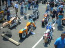vf06195.JPG