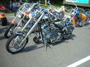 vf06246.JPG