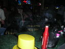 Filename=ny06228.JPG
Filesize=79KiB
Dimensions=640x480
Date added=Sep 18, 2026 ny06228.JPG