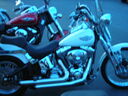 sm06048.JPG
