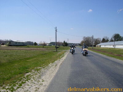 pf0614.jpg