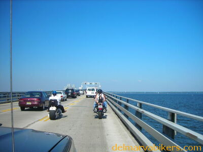 tn06031.JPG