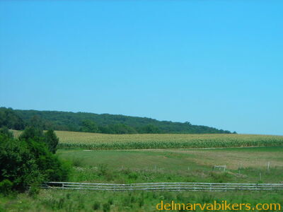 tn06067.JPG