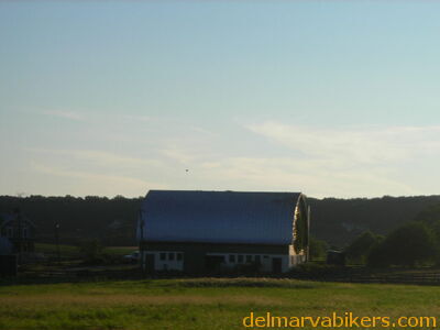 tn06110.JPG